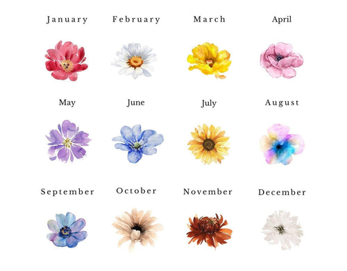 Custom Birth Month Flower Garden Print, Watercolor Family Name Art (Digital Download)